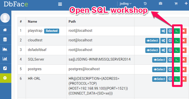 Open SQL workshop in DbFace